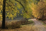 Late Autumn Colours No. 3