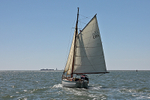 170526 IVY GREEN EB6 1Y3A1009