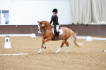 SBM_002186