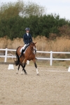 SBM_015035