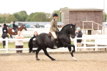 SBM_02822