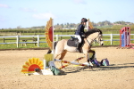 SBM_000207