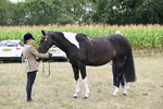 WJ6_5623