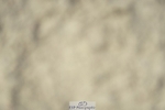 230909-125856-05874