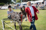 Donkey Derby_2016-26