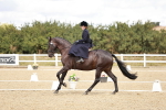 SBM_004931