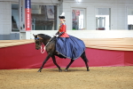 SBM_14789