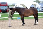 SBM_05738