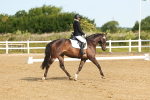 SBM_006943