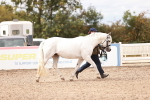 SBM_16301