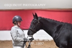 BPP_1897