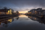 Cork Reflected.