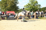 SBM_39353