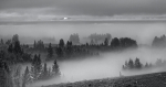 Black and white portfolio
