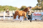 SBM_08437