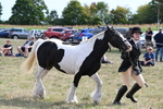 WJ6_6634