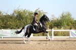 SBM_01270