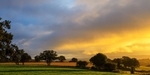 Lydney Sunrise
