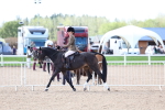 SBM_11233