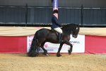 SBM_17677