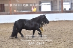 BPP_0847