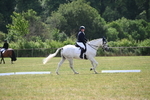 WJ6_6593
