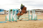 SBM_001784