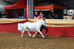 SBM_18601