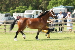 SBM_02247
