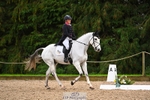 320-FINLAY.M.AUREA-Charlotte.Armstrong-DR portfolio