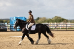 SBM_001686