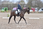 BPP_8890