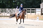 BD Quest and Unaffiliated Dressage Sun 26th - Click to Enter portfolio