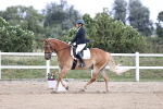 SBM_016766
