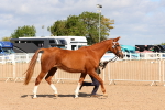 SBM_11172