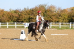 SBM_000196