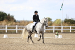 SBM_016020