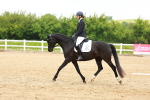 SBM_006480