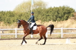 SBM_019233