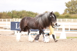 SBM_16292