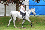 EQUISCOT 9345