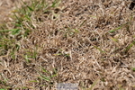 260731A-123158-01189