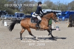 BPP_2898