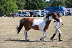 WJ6_8552