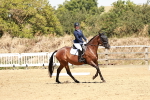 SBM_003003