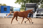 SBM_07069