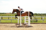 Class 4 - Senior Newcomers - 1.10m portfolio