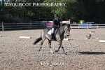 BPP_8808