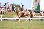 3E7A9109