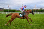 121225-Race 3-Fortune De Mer-5021